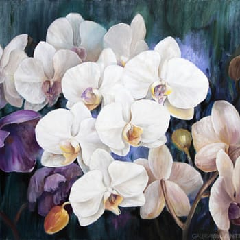 Orquídeas Blancas y Violetas
