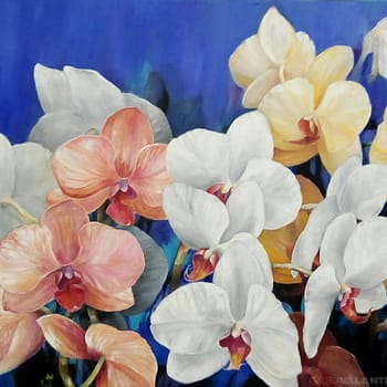 Floración de Orquídeas