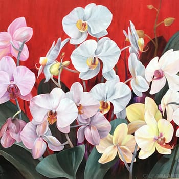 Orquídeas Cálidas