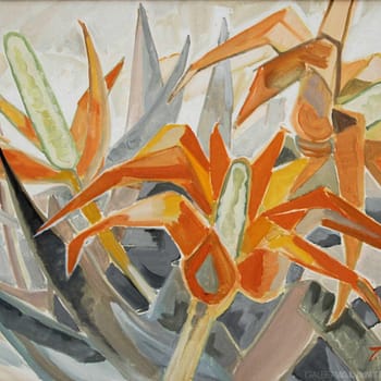Flores