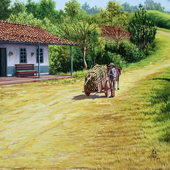 Ajustando la Leña