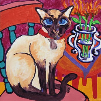 Gata Fifí