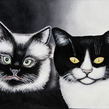 Gatos en  Blanco y Negro