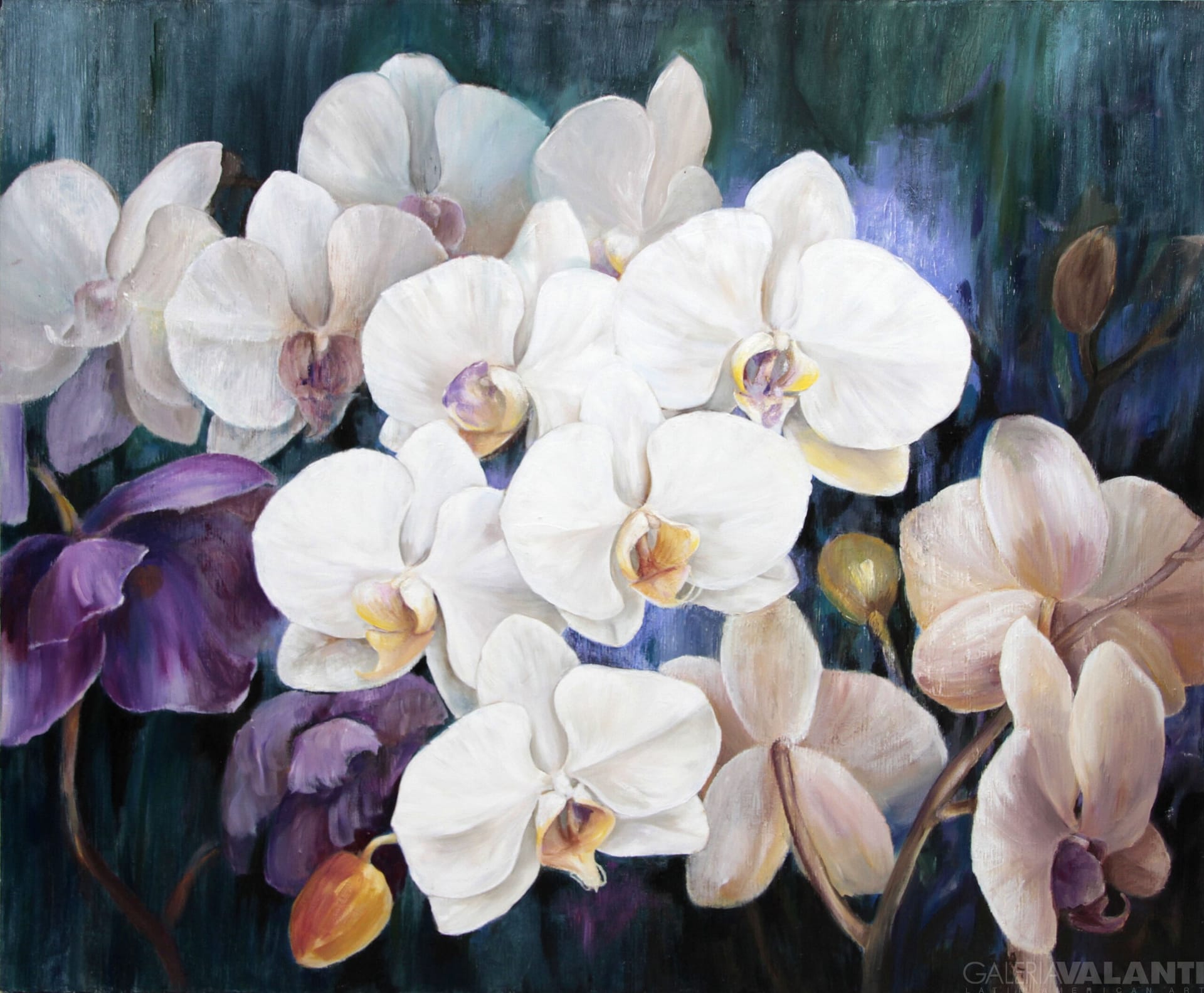 Orquídeas Blancas y Violetas