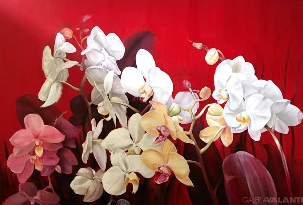 Orquídeas en Flor