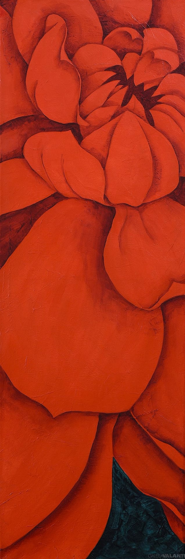 Dalia Roja