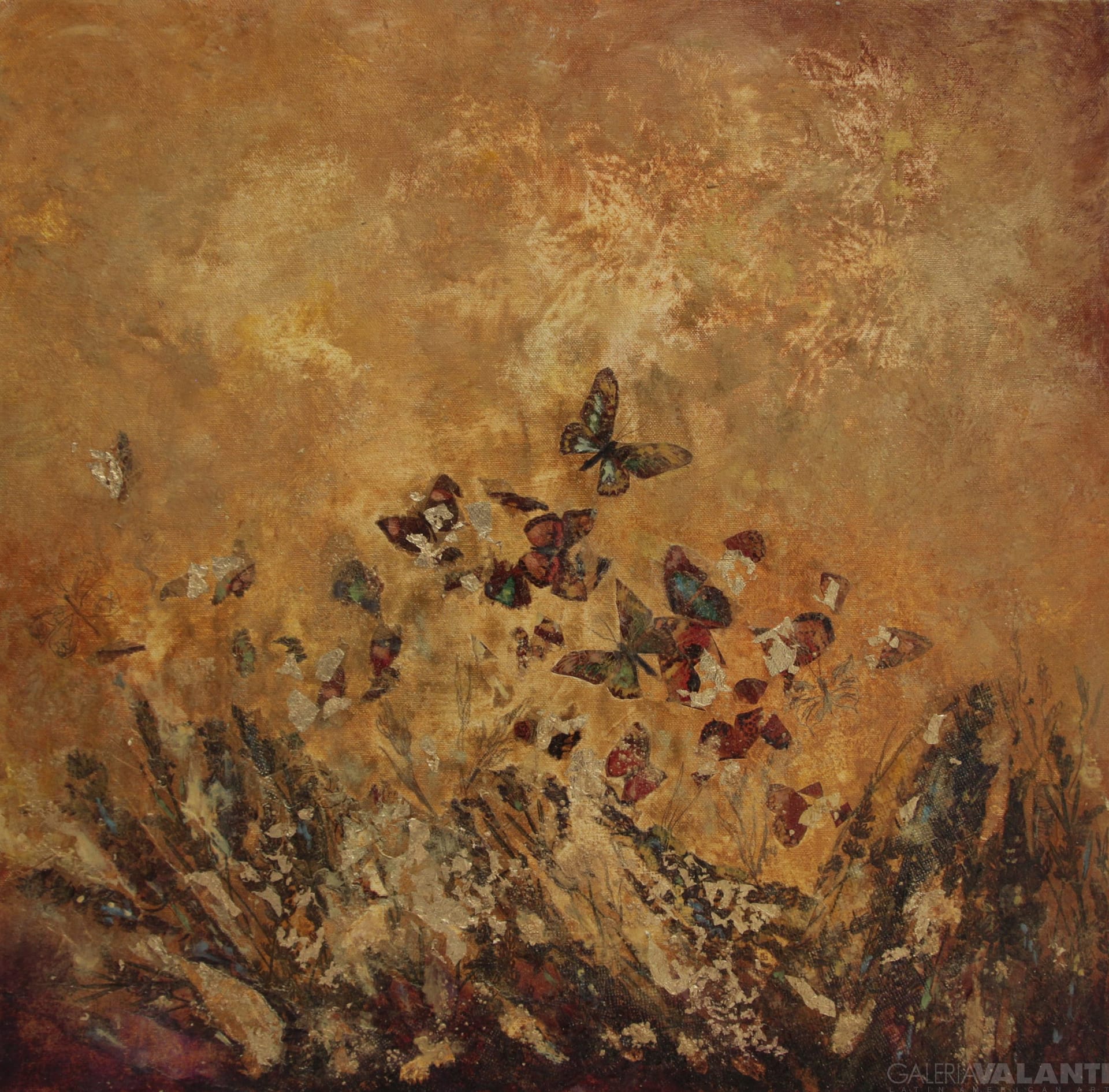 Polvo de Mariposas